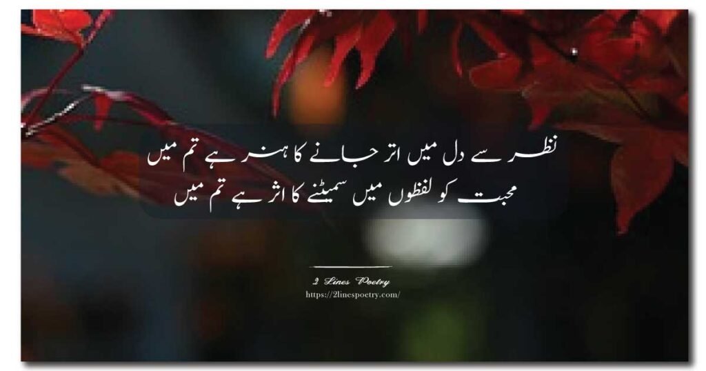 2 Line Romantic Urdu Poetry