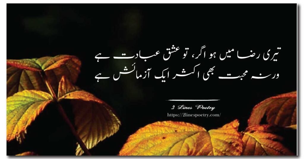 2 Line Urdu Poetry on Love