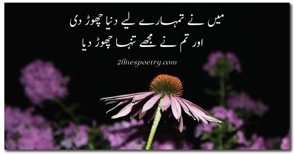 Best 2 Line Urdu Poetry on Bewafai