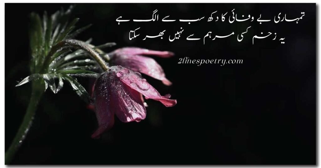 Emotional 2 Line Urdu Poetry on Bewafa Dost