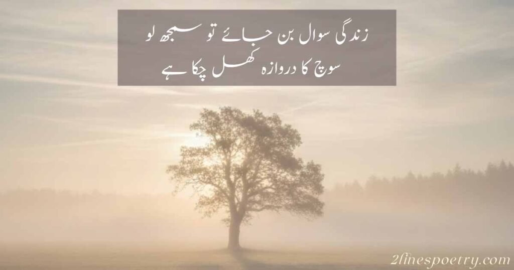 Deep Thought Urdu Poetry About Life 
