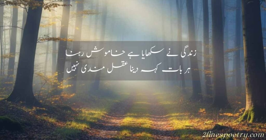 Urdu Poetry About Life and Reality