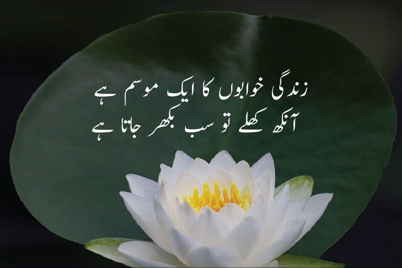 Deep Poetry (Shayari) Lines About Life