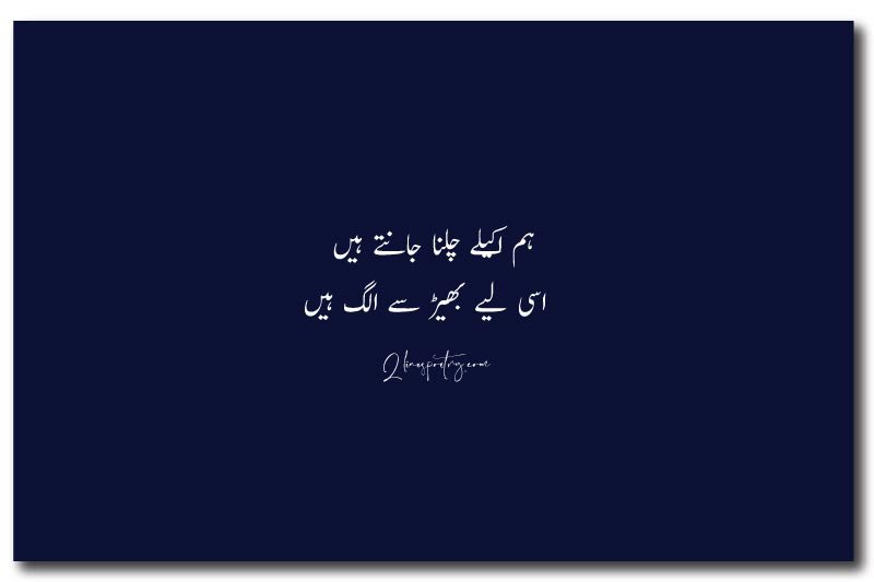 Alone Attitude Poetry in Urdu