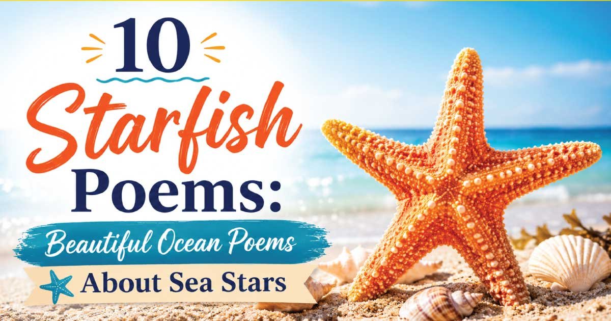 10 Starfish Poems