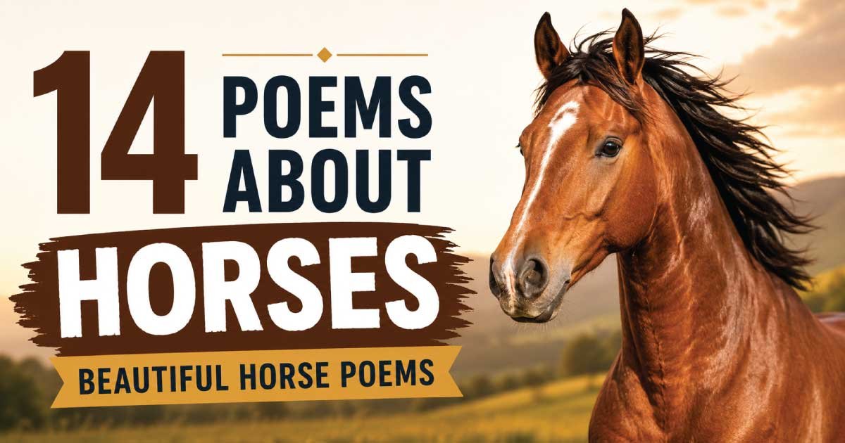Poems About Horses